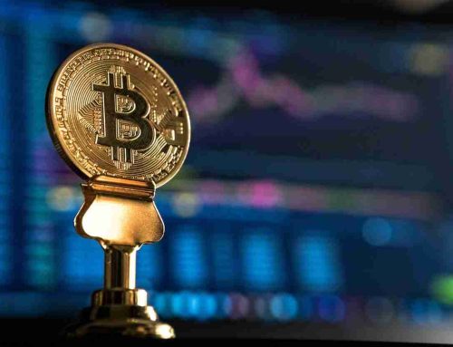 Exchange rate of bitcoin